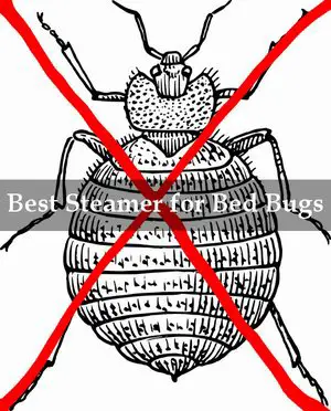 best steamer for bed bugs reviews