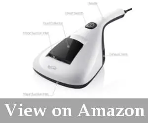 lightweight handheld steamer for bed bugs reviews
