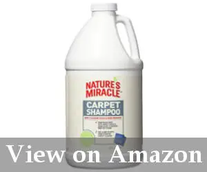 best carpet cleaner for old pet urine reviews