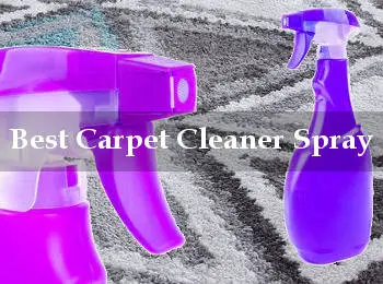 best carpet cleaner spray reviews