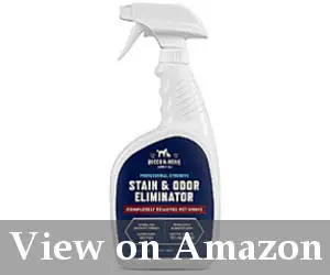 best carpet cleaning spray reviews