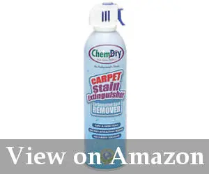 best carpet stain remover spray reviews