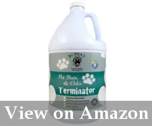 best carpet stain remover reviews