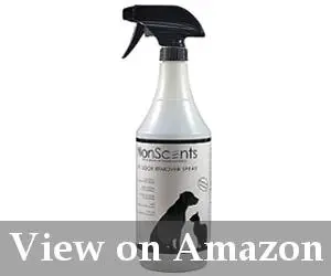 best pet carpet cleaner spray reviews