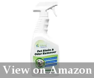 natural carpet cleaner for pet stains reviews