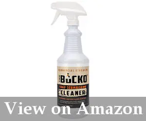 bathroom cleaner spray reviews