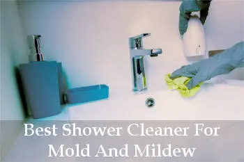 best shower cleaner for mold and mildew reviews