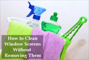 how to clean window screens without removing them