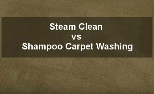 steam clean vs shampoo carpet
