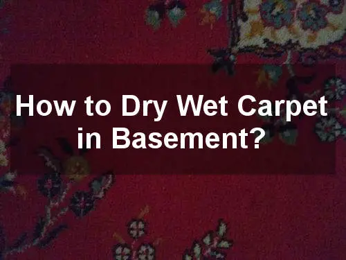 how to dry wet carpet in basement